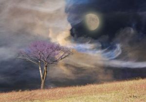 Voir le détail de cette oeuvre: Arbre et champ sous un ciel violet